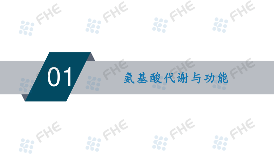 氨基酸-营养与康复之源-江南大学附属医院营养科+张烽